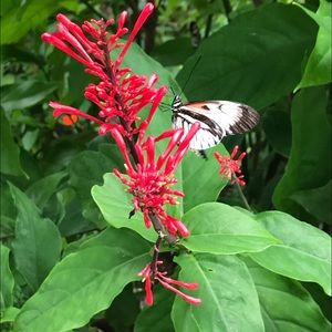 Meet your Posher, Annye